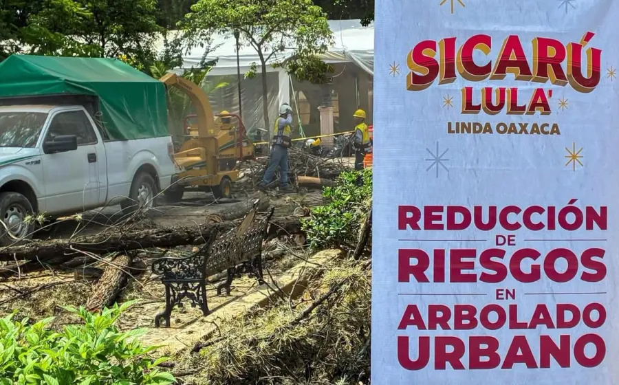 Gobierno de Oaxaca de Juarez prioriza el cuidado del arbolado del Paseo Juárez El Llano