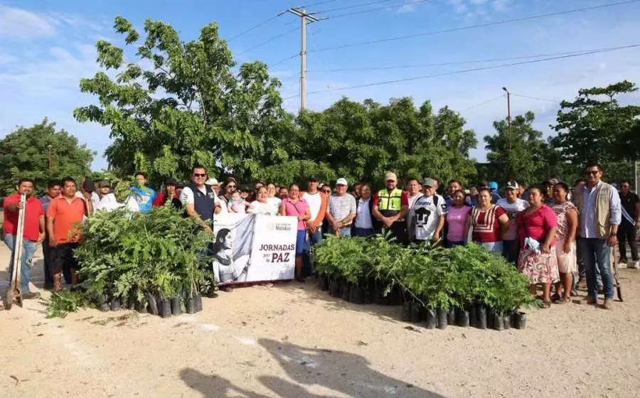 Gobierno de Juchitán se suma a la Jornada Nacional de Reforestación