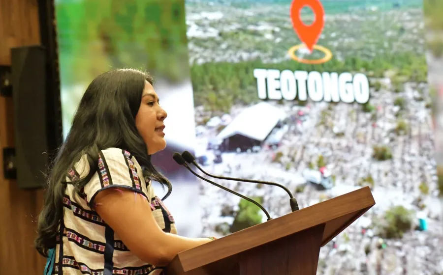 ​Destaca diputada Tania Caballero impacto de la Jornada Nacional de Reforestación en Oaxaca y la Mixteca