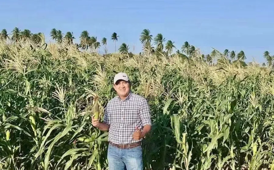 Fortalece Oaxaca su producción de maíz y avanza hacia la autosuficiencia alimentaria: Nino Morales