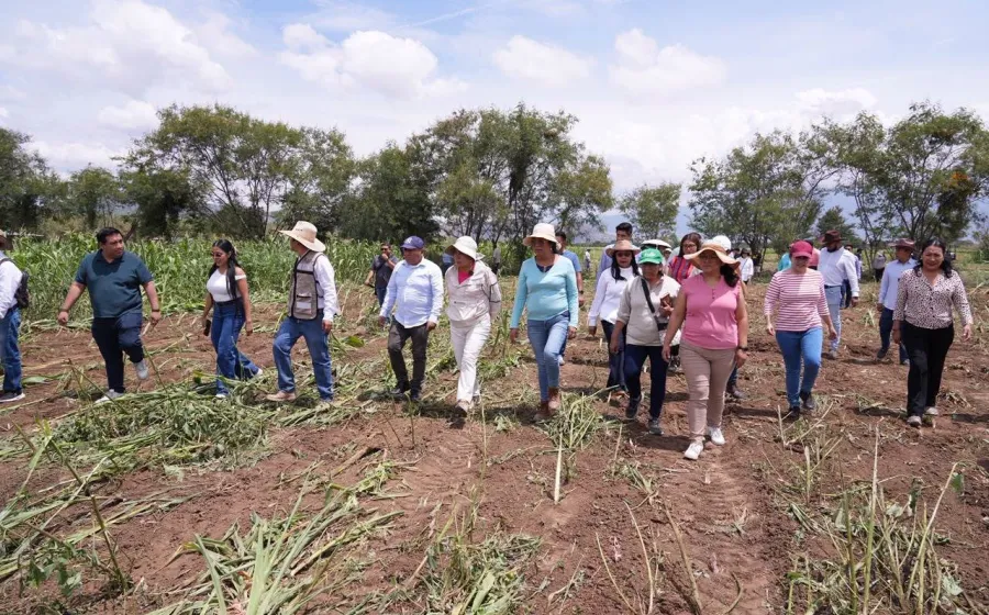 Recupera Ayuntamiento de Santa Cruz Xoxocotlán casi cuatro hectáreas de predio