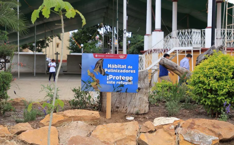 Instalan jardines polinizadores en Santa Cruz Xoxocotlán