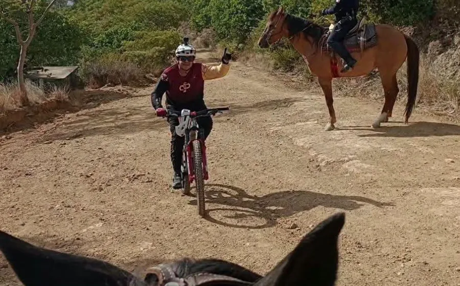 A caballo y con paso firme, Agrupamiento de Caballería refuerza la seguridad en Oaxaca de Juárez 