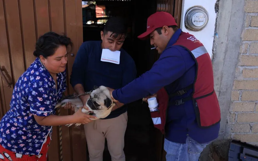 En Xoxocotlán se fortalecen acciones de prevención contra el gusano barrenador