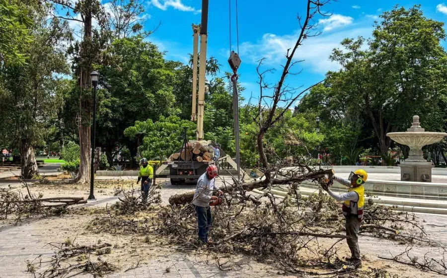 Oaxaca de Juárez fortalece acciones para el cuidado del medio ambiente