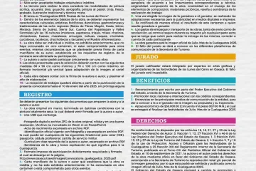 Sigue abierto el registro de la imagen oficial de la Guelaguetza 2025, quedan 8 días 