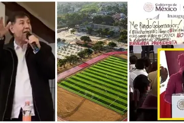 Visita desafortunada / Amado Sanmartín