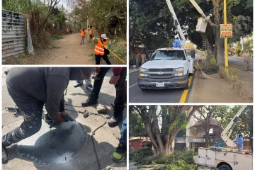 Podan y limpian para mantener en buen estado los espacios públicos de Oaxaca de Juárez