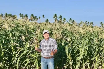 Oaxaca listo para producir maíz blanco que ya no se cosecha en el norte: Nino Morales 