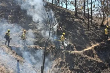 Reporta Coesfo control de incendio forestal en Santiago Minas y Santa Catarina Juquila