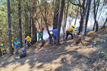 Reporta Coesfo control total de incendio forestal en la zona de Ozolotepec
