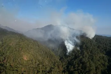 Atiende Coesfo incendios en la Cuenca del Papaloapan y Costa