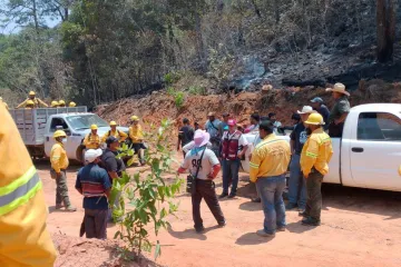 Atiende Coesfo incendio forestal en Putla Villa de Guerrero