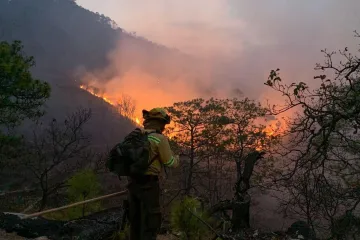 Atiende Coesfo incendio forestal en límites de Santiago Minas y Santa Catarina Juquila
