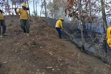 Reporta Coesfo control de incendio forestal en San Juan Tamazola