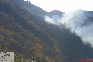Reporta Coesfo 50% de control del incendio forestal en San Sebastián Coatlán
