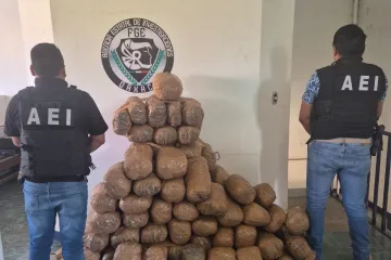 Fiscalía de Oaxaca asegura cargamento con 110 kg de mariguana