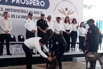 Cuando la perra es brava, hasta a los de casa muerte