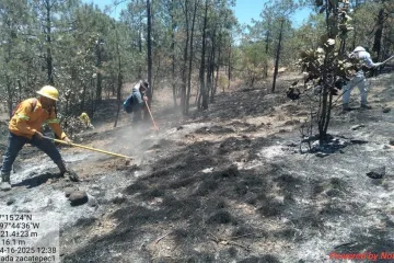 Controlan incendio forestal en Santa María Zacatepec