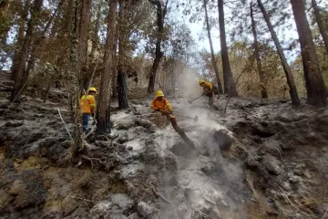 Controlan al 95% incendio forestal en Santa Catarina Juquila