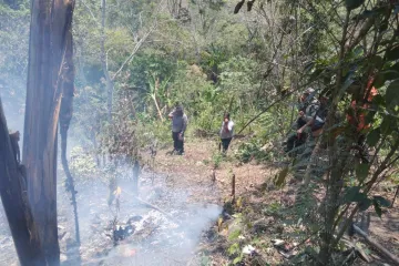 Controla Coesfo incendio forestal en San Isidro Huayápam