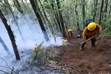 Reporta Coesfo control del 90% en incendio forestal de Cuyamecalco Villa de Zaragoza