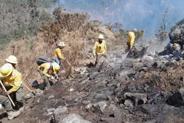 Se atiende en Oaxaca 7 incendios forestales
