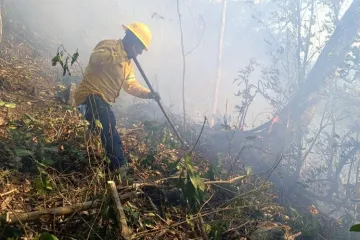 Controla Coesfo incendio forestal en Santiago Jocotepec
