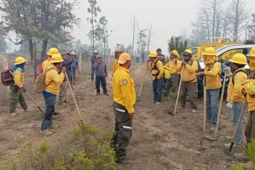 Más de 2 mil hectáreas afectadas por 46 incendios durante mayo: Coesfo