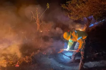 Reporta Coesfo control de dos incendios forestales en Santiago Pinotepa Nacional