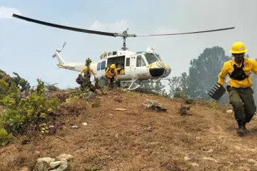 Controla Coesfo incendio forestal en San Francisco Ixpantepec