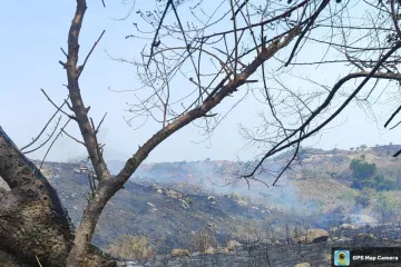 Atiende Coesfo incendio forestal en Santiago Pinotepa Nacional