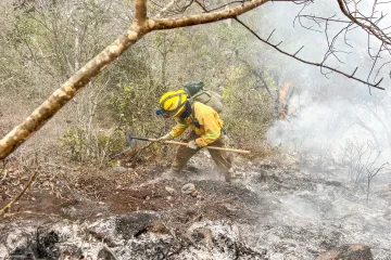 Liquida Coesfo incendios forestales en Santa María Tonameca y Santiago Tilantongo