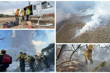 Reporta Coesfo 70% de control en incendio forestal de Tepelmeme Villa de Morelos