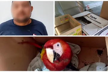Policía Municipal detiene a una persona por el presunto delito contra al ambiente y la gestión ambiental