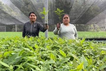 Impulsa Coesfo reforestación de Valles Centrales mediante vivero de San Miguel Peras