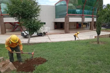 Inicia Coesfo acciones de Reforesta Oaxaca en Ciudad Judicial