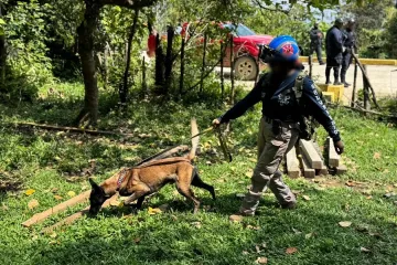 Con tres binomios caninos, CLB intensifica acciones para localizar a menor de la sierra mixe