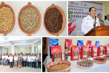 Coordina Sectur Oaxaca esfuerzos para impulsar la Ruta del Café Pluma Aromas de la Sierra Sur
