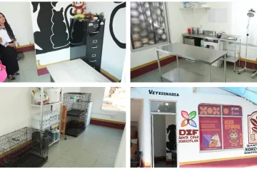 Porque también son familia: abren Centro Médico Veterinario en Xoxocotlán