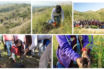 Xoxocotlán suma esfuerzos para sembrar vida en Mega Tequio de Reforestación