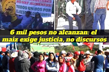 Sin maíz no hay país 