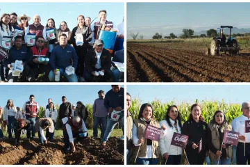 Oaxaca de Juárez da inicio a la siembra simbólica de rábanos rumbo a la Noche de Rábanos 2025