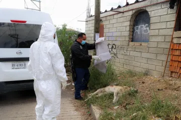 Investigan muerte de un perro en San Martín Mexicapan