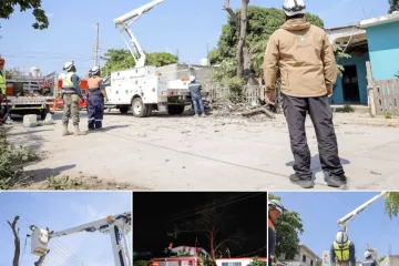 Gobierno de Juchitán colabora con CFE tras afectaciones eléctricas por fuertes vientos 