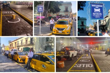 Sitio de taxis “Alameda” se renueva 