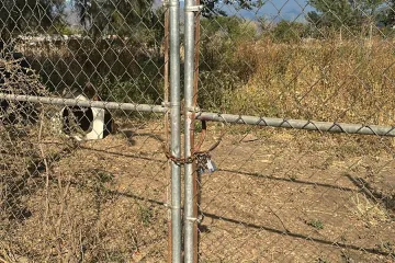 Amplían investigación por posible maltrato animal en predio de Tlalixtac