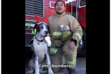 Llama SSPC a evitar el uso de pirotecnia en estas fiestas decembrinas