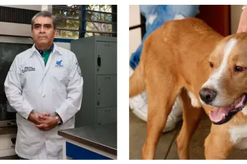 Fuegos artificiales, importante el manejo adecuado y reducir emisiones contaminantes