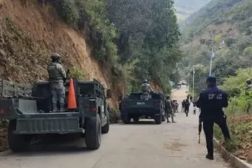 Hallan dos cuerpos sin vida, uno de ellos fue devorado por los perros 